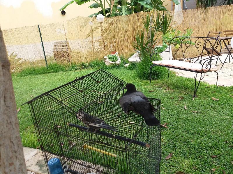 Bed and Breakfast U' Iazzu Avola Zewnętrze zdjęcie