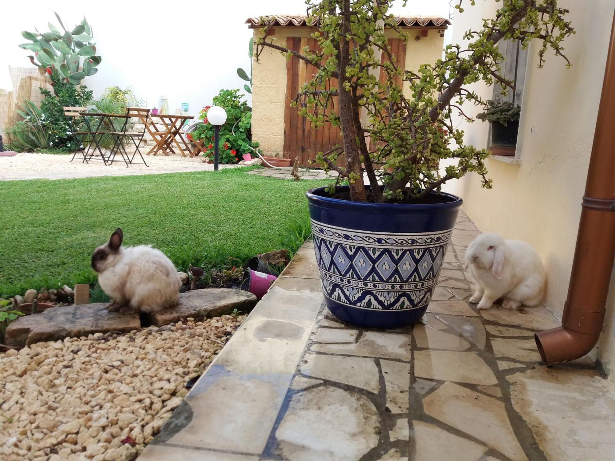 Bed and Breakfast U' Iazzu Avola Zewnętrze zdjęcie