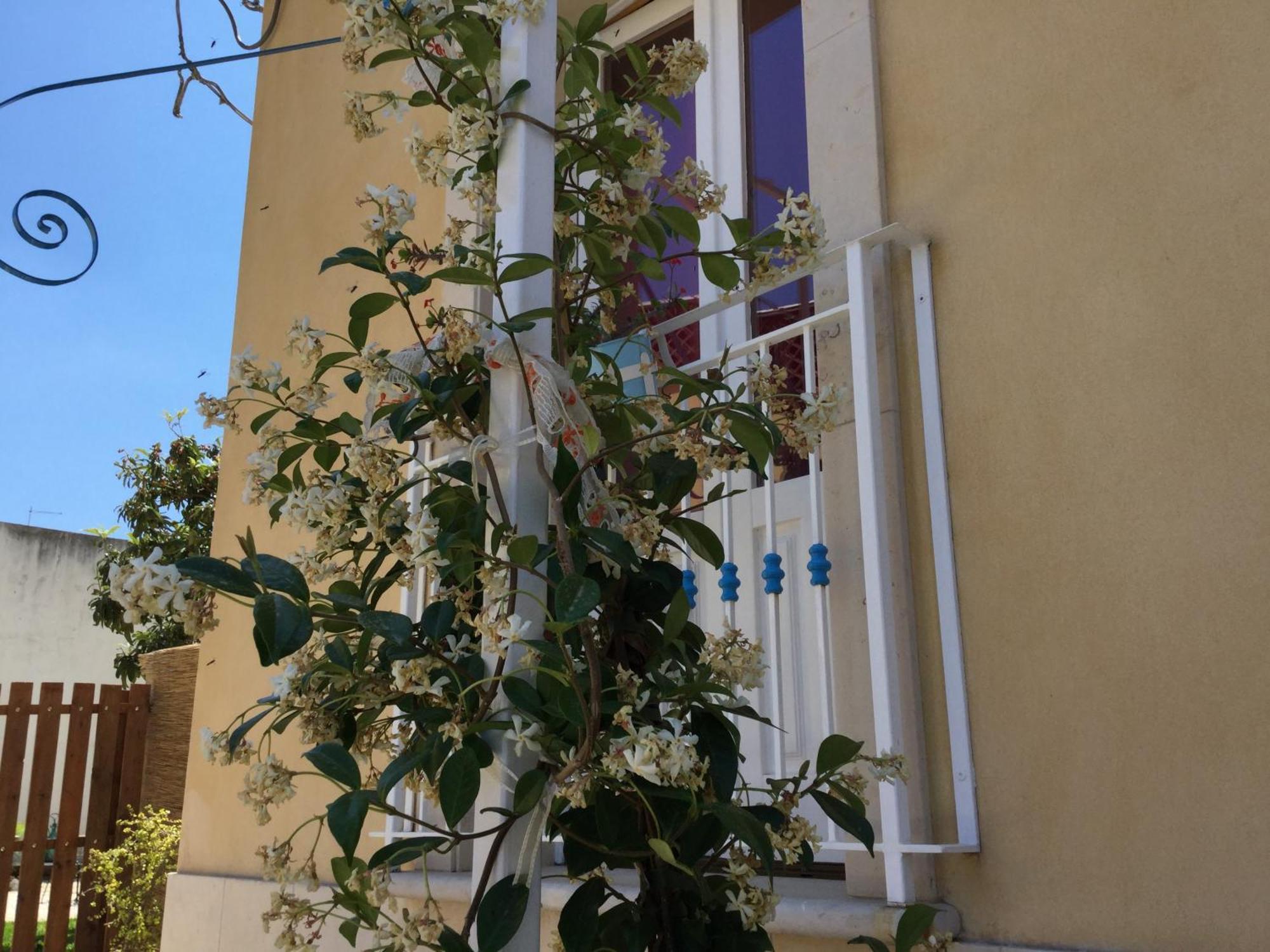 Bed and Breakfast U' Iazzu Avola Zewnętrze zdjęcie